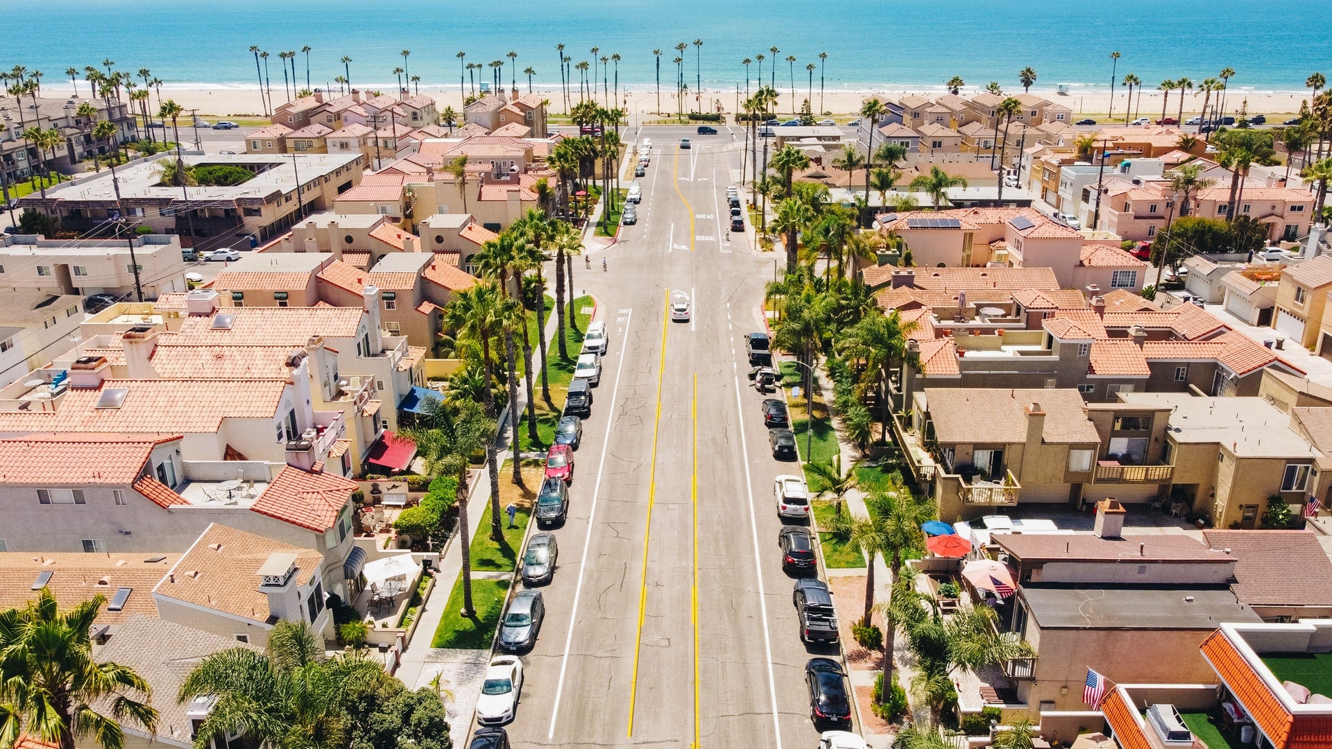 Homes and palms near the beach